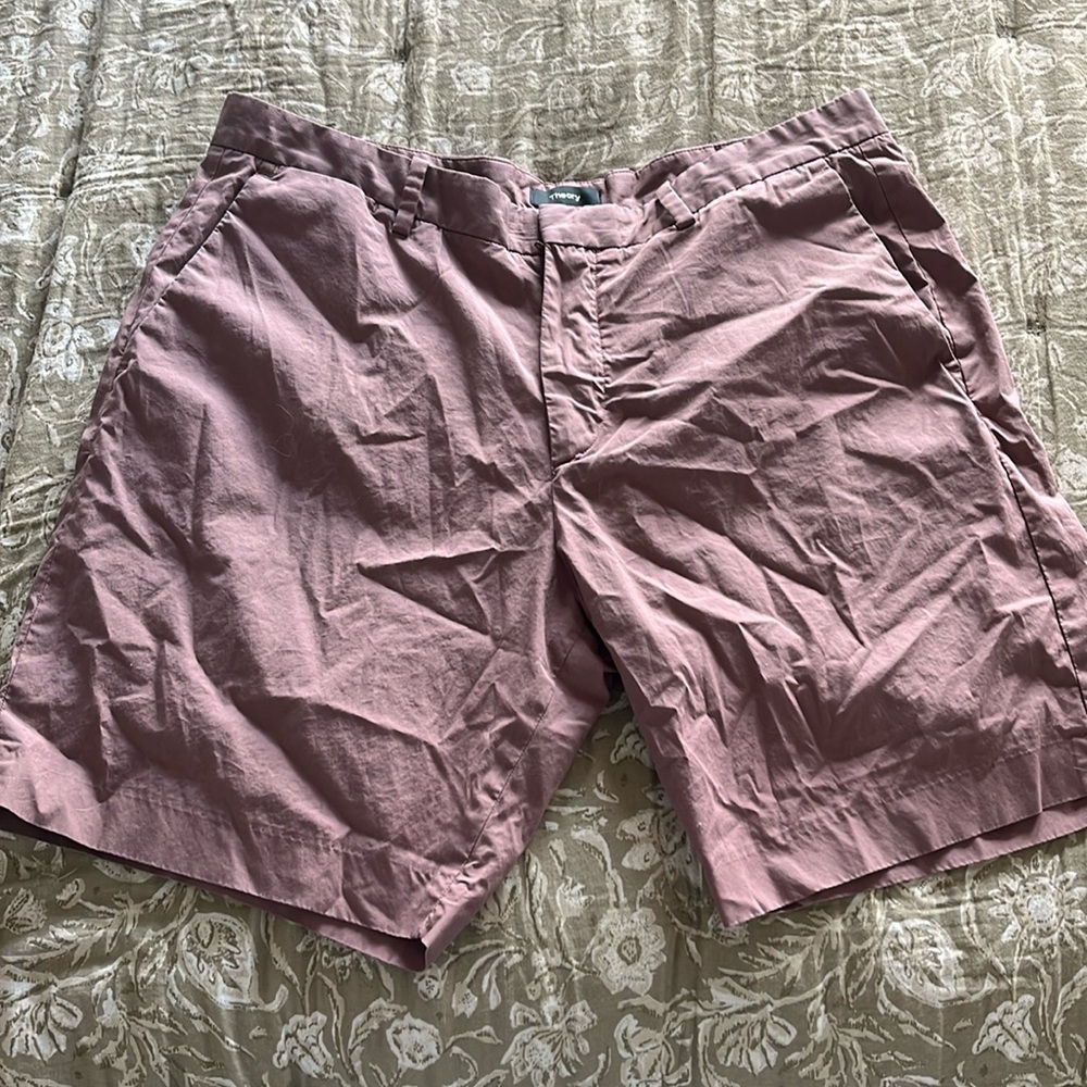 Theory Zaine Shorts